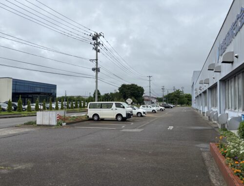 敷地内街路樹の伐採作業を実施しました